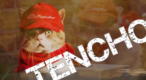 Cats Are The Stars Of Brilliant Japanese Pizza Hut Campaign