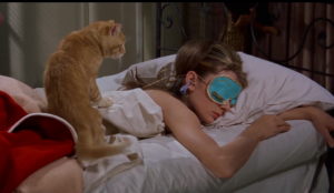 Supercats!: A Supercut Of Cats In Movies