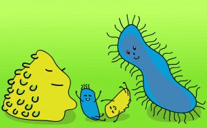 Your Home Is Swimming In Bacteria That Follows You When You Move