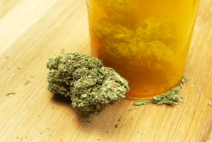 Medical Marijuana For All: Berkeley Plans For Free MJ To Low Income Patients