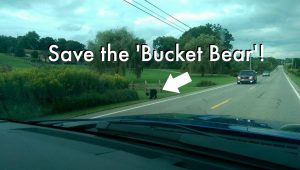 Caught On Video: Bear Freed By Volunteers From Bucket Stuck On Head