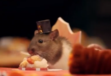 tiny hamster thanksgiving