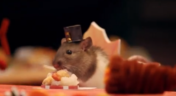 tiny hamster thanksgiving