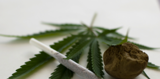 New York May Decriminalize Pot
