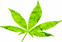 medoical marijuana bill in Georgia