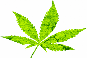 medoical marijuana bill in Georgia