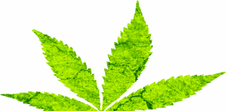 medoical marijuana bill in Georgia
