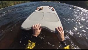 Squirrel Saved From river Viral Vidoe