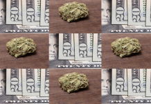 Maine push for legalization