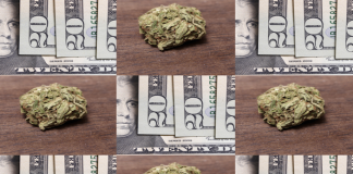Maine push for legalization