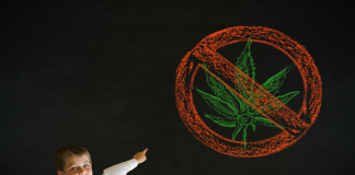 anti marijuana groups