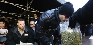 first ever marijuana auction