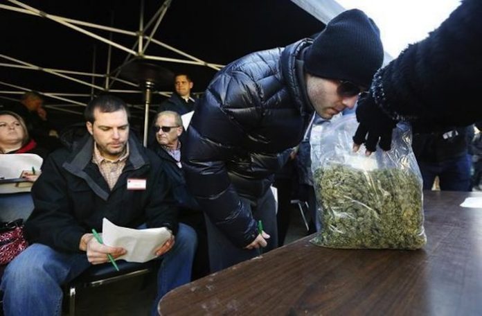 first ever marijuana auction