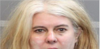 Julia Shields Mug Shot