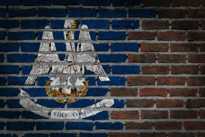 Louisiana state flag on brick wall