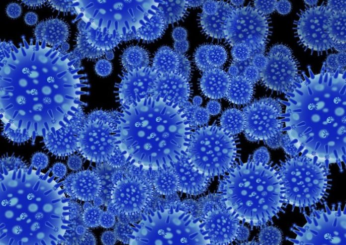flu virus spore structure