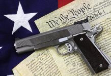 gun and constitution