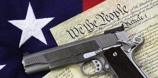 gun and constitution