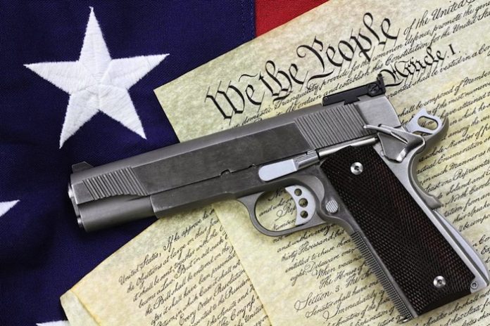 gun and constitution