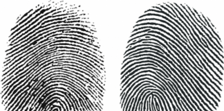 finger prints representing universal background checks