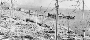 The Great War Blog On Gallipoli, Turkey, And Armenian Genocide