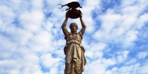 Boll Weevil: How An Insect Affected The First World War