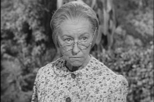 Say Goodbye to Granny! Trump/Ryan are Taking Her Medicare!
