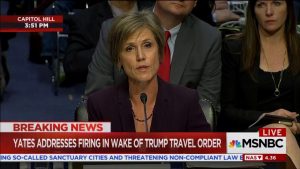 Yates Grates GOP Cheese