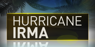 Irma