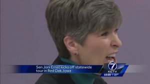 Sen. Ernst: Trump Merely ‘Standing Up for Norway’